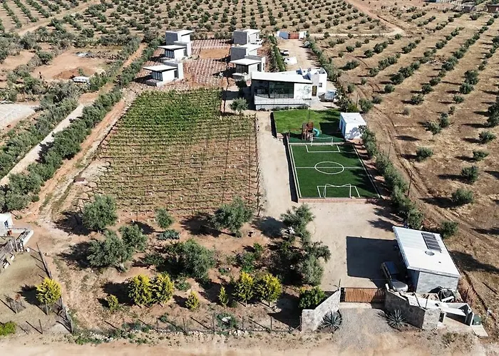 Vineyard L Privacy L Terrace L Bbq L Playground Finca Md